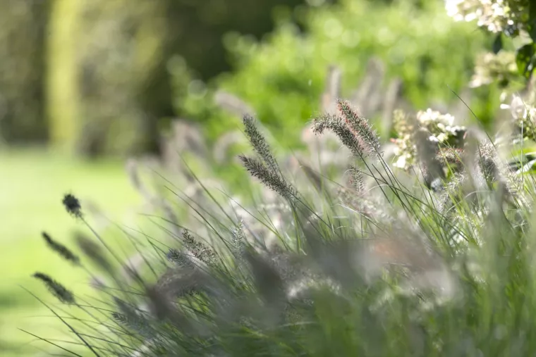 Landelijk gelegen tuin met elegante haagmassieven (33) - 